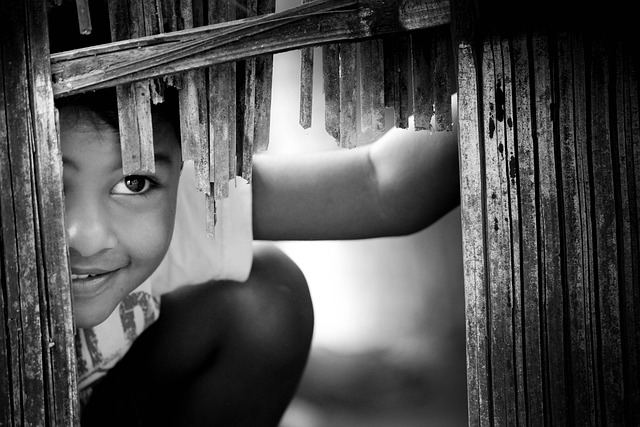 白黒で、木の柵の間から男の子がのぞいている画像
