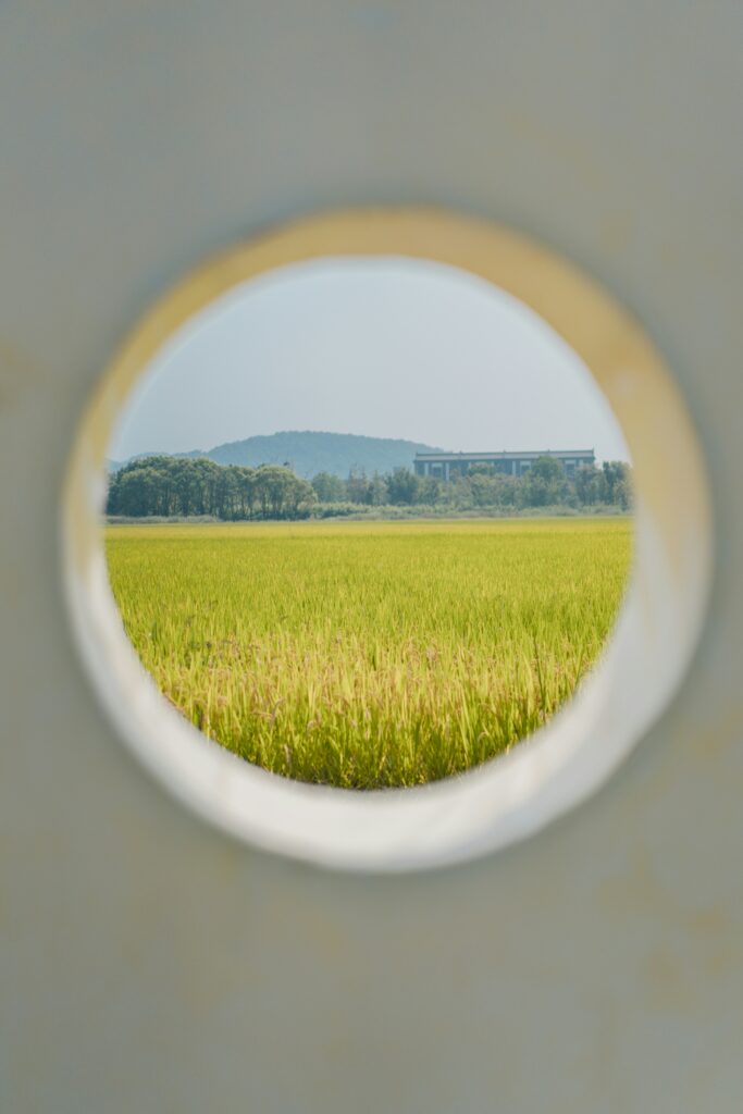 穴から田んぼを覗いている画像
