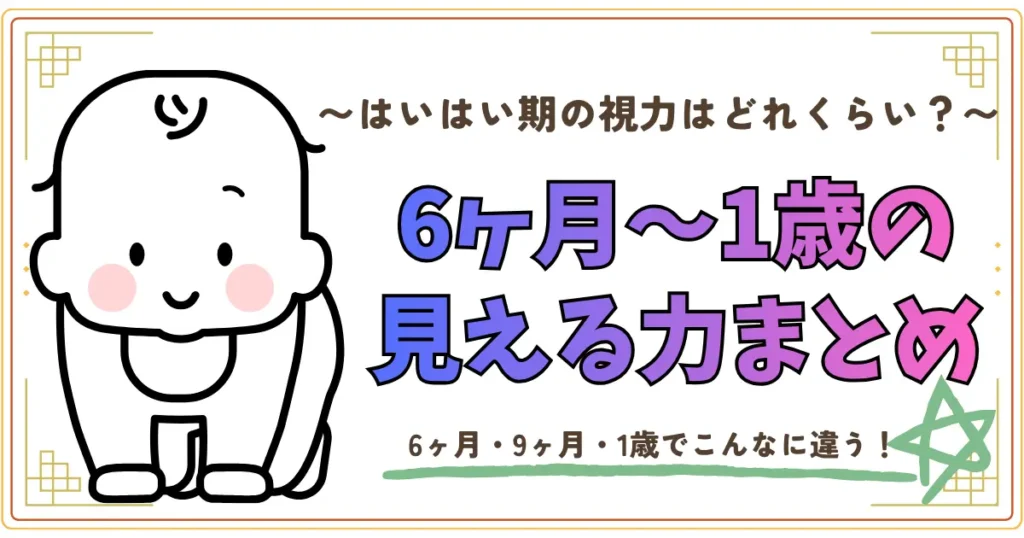 ６か月～１歳の見える力まとめ
