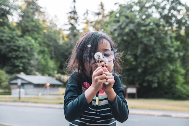 眼鏡をかけた女の子が、綿毛を飛ばそうとしている画像